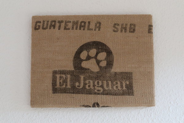 Bild Jaguarpfote